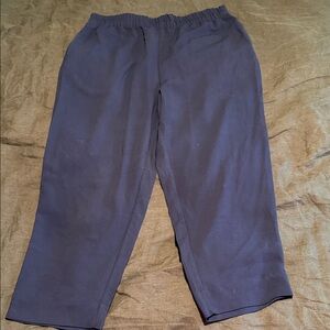 Madewell Deep Blue Cropped Crepe Pant